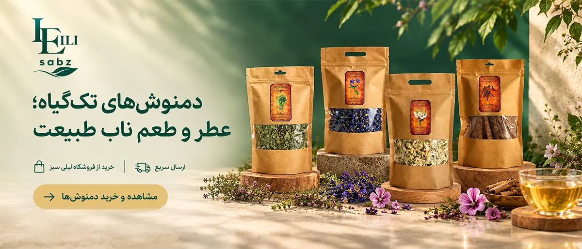 دمنوش تک گیاه