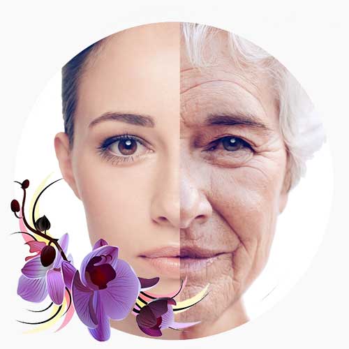 ضد چروک | اوریفلیم، آون و پیر کاردین