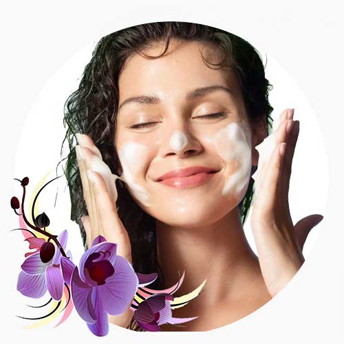 شوینده، میسلار و تونر | اوریفلیم، آون و پیر کاردین