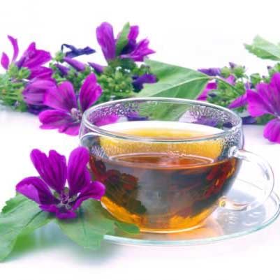 پنیرک ممتاز کرمان (ختمی خبازی) آرلین پنیرک ممتاز کرمان (ختمی خبازی) آرلین