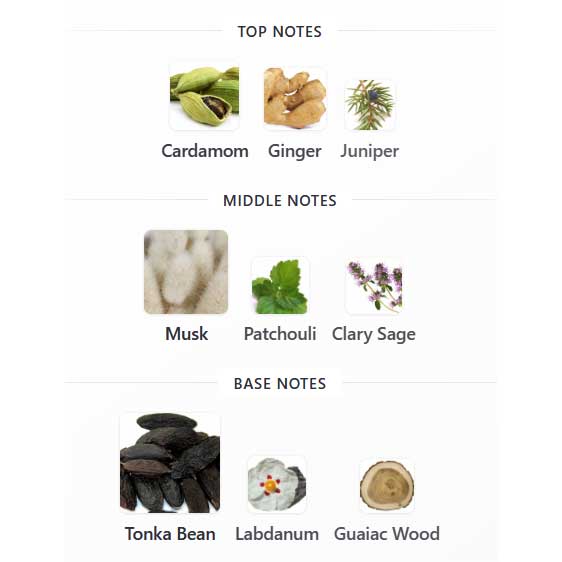 Attraction for Him Eau de Toilette - 75ml avon