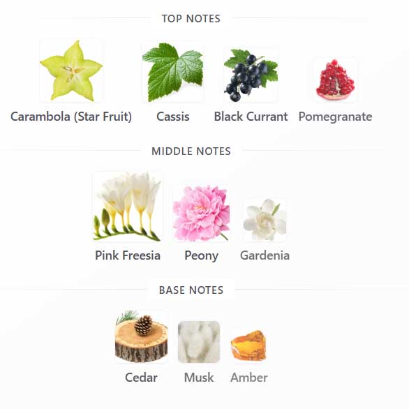 ادوپرفیوم زنانه اوه تراس EVE TRUTH آون