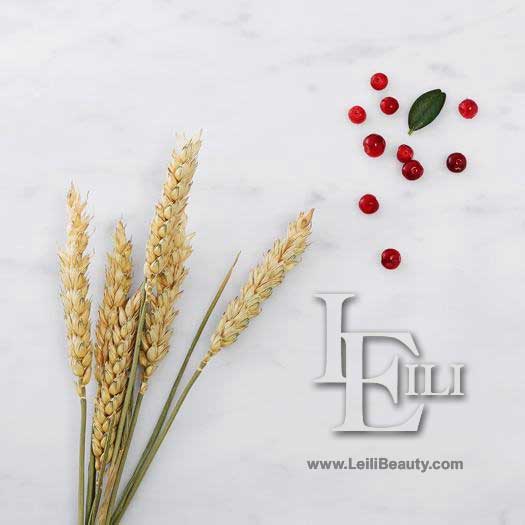 خرید پودر کلاژن ساز آکوا گلا  اوریفلیم از لیلی بیوتی