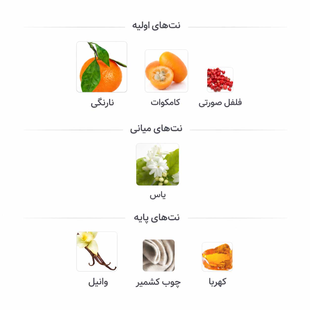 ادوپرفیوم زنانه اینفینیتا اوریفلیم