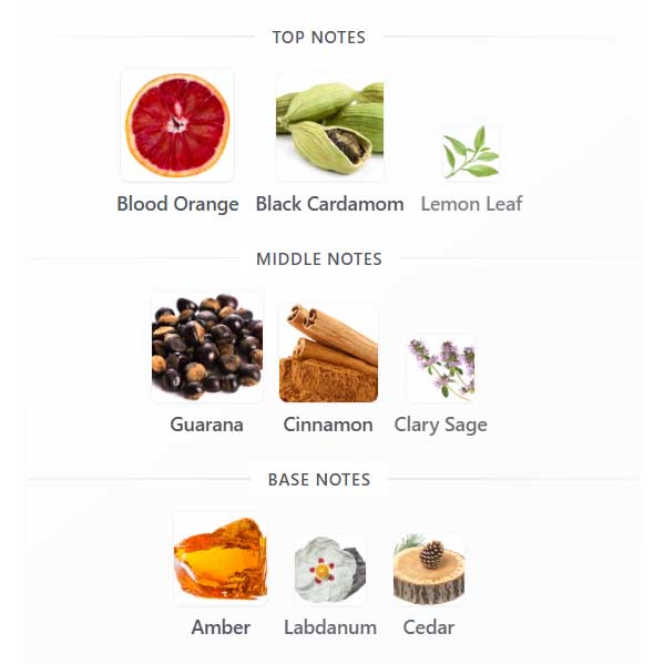 ادوپرفیوم مردانه اسندنت اینتنس اوریفلیم