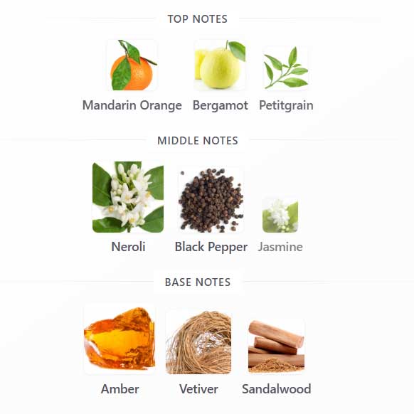 ادوپرفیوم مردانه جوردانی گلد من اوریفلیم