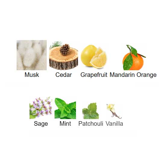 Perceive for Men Eau de Toilette avon Perceive for Men Eau de Toilette avon