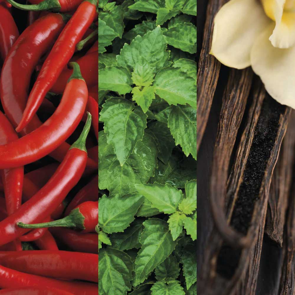 ادوتویلت مردانه اترکشن اینستینکت 75 میل آون ادوتویلت مردانه اترکشن اینستینکت 75 میل آون