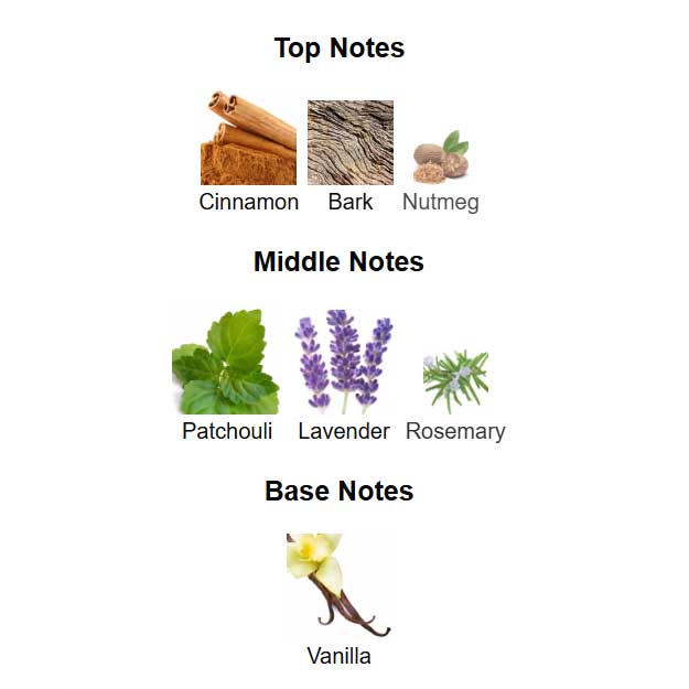 ادوتویلت مردانه اترکشن اینستینکت 75 میل آون ادوتویلت مردانه اترکشن اینستینکت 75 میل آون