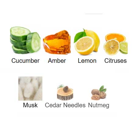 ادوتویلت مردانه گلشیر راک اوریفلیم