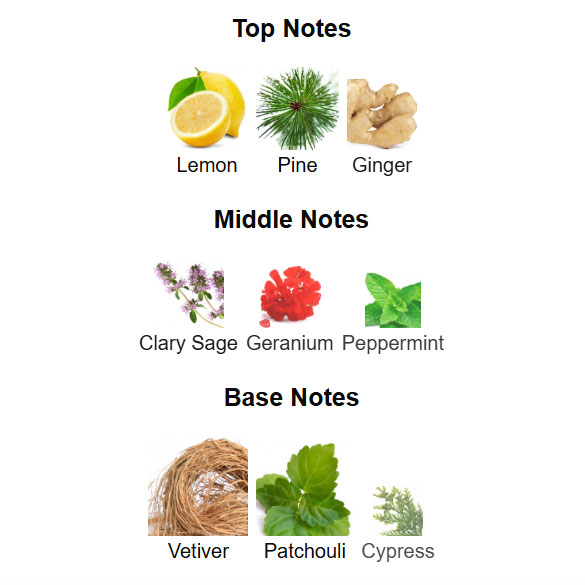 ادوتویلت مردانه وایلد گرین اوریفلیم