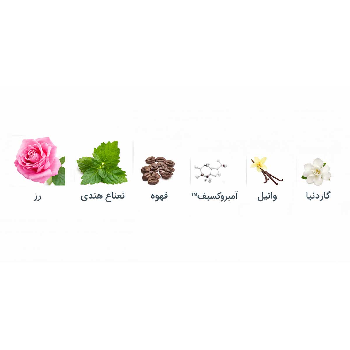 ادوپرفیوم زنانه دارک ولوت دیواین اوریفلیم