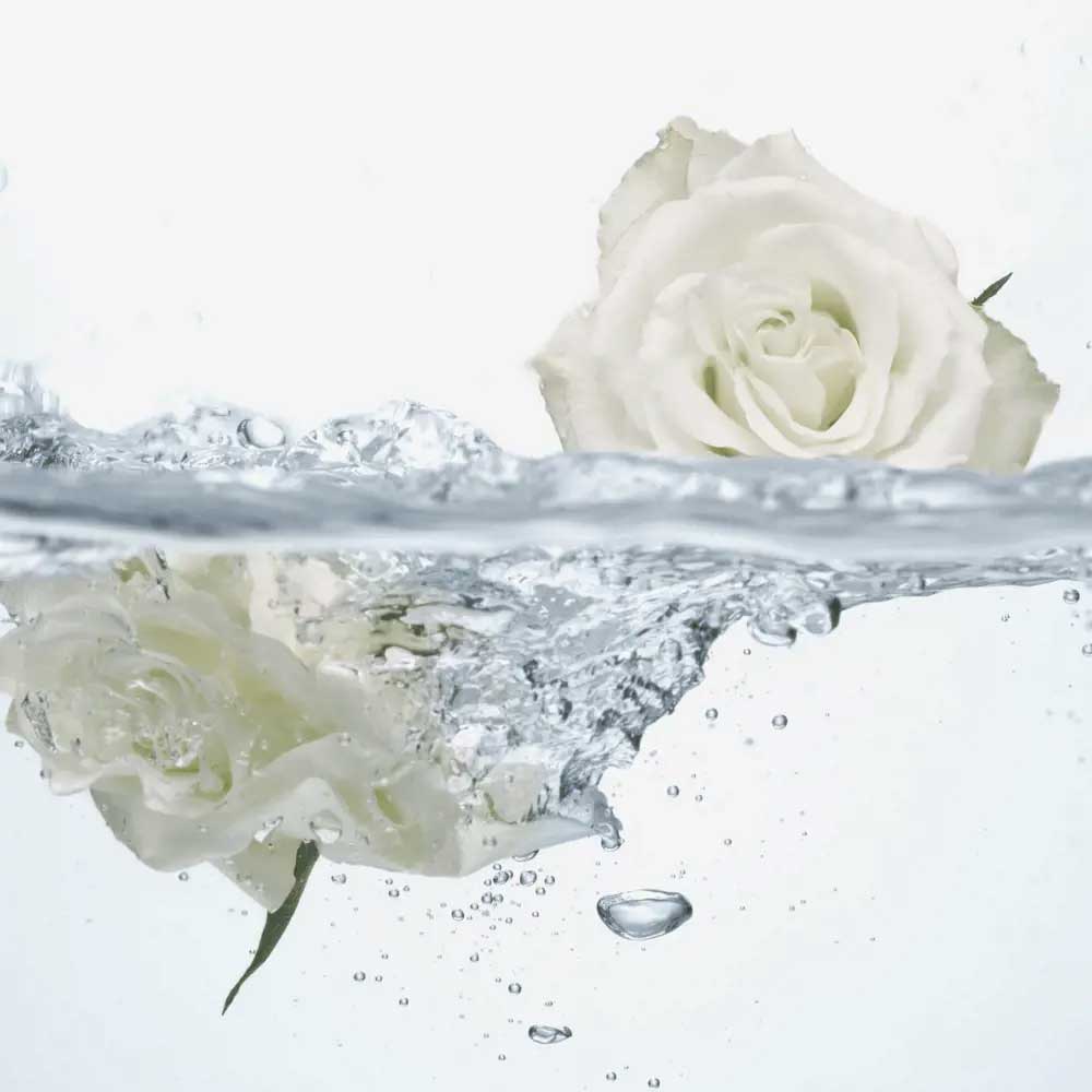 Feminelle Refreshing Intimate Wash with Rose Water oriflame