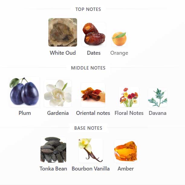 ادوپرفیوم فاراوی اسپلندوریا  آون