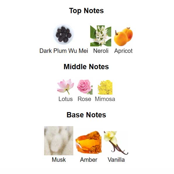 ادوپرفیوم Rare Onyx آون