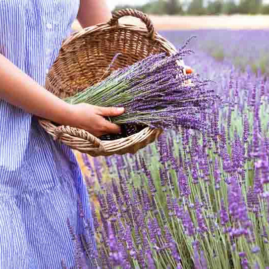 Avon Care Footworks Lavender Exfoliating Clay Mask avon Avon Care Footworks Lavender Exfoliating Clay Mask avon