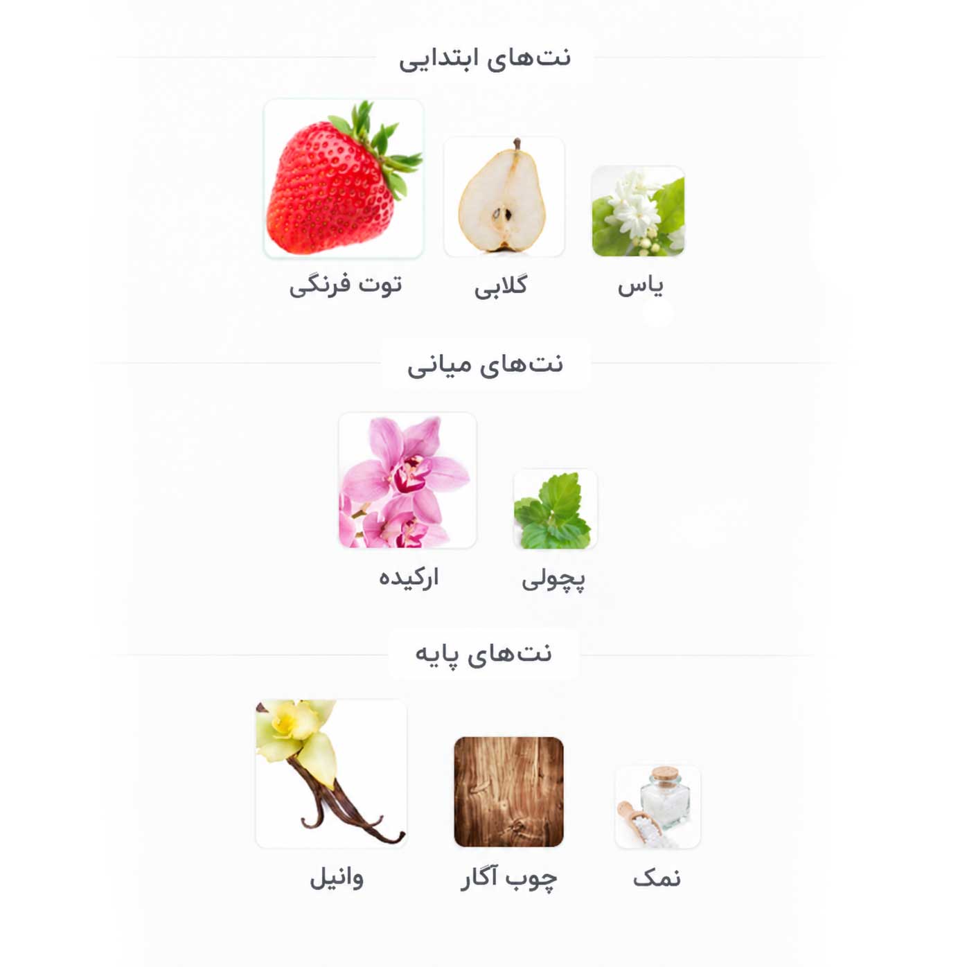ادوپرفیوم زنانه اینستینکت اترکشن آون